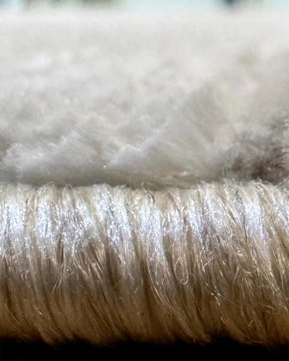 Alfombra Prada 386 Crema Plateado Kodaz Carpet